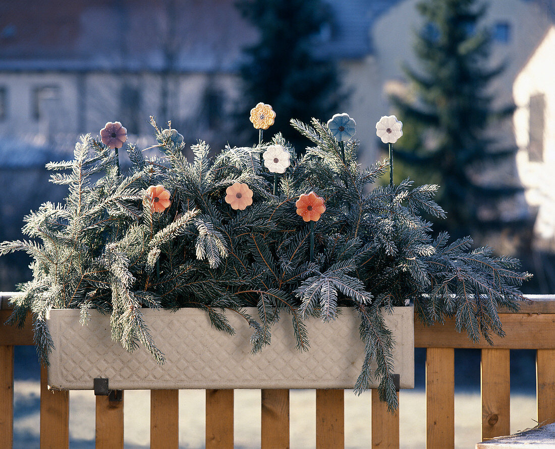 Fir branches and wooden flowers as winter decorations