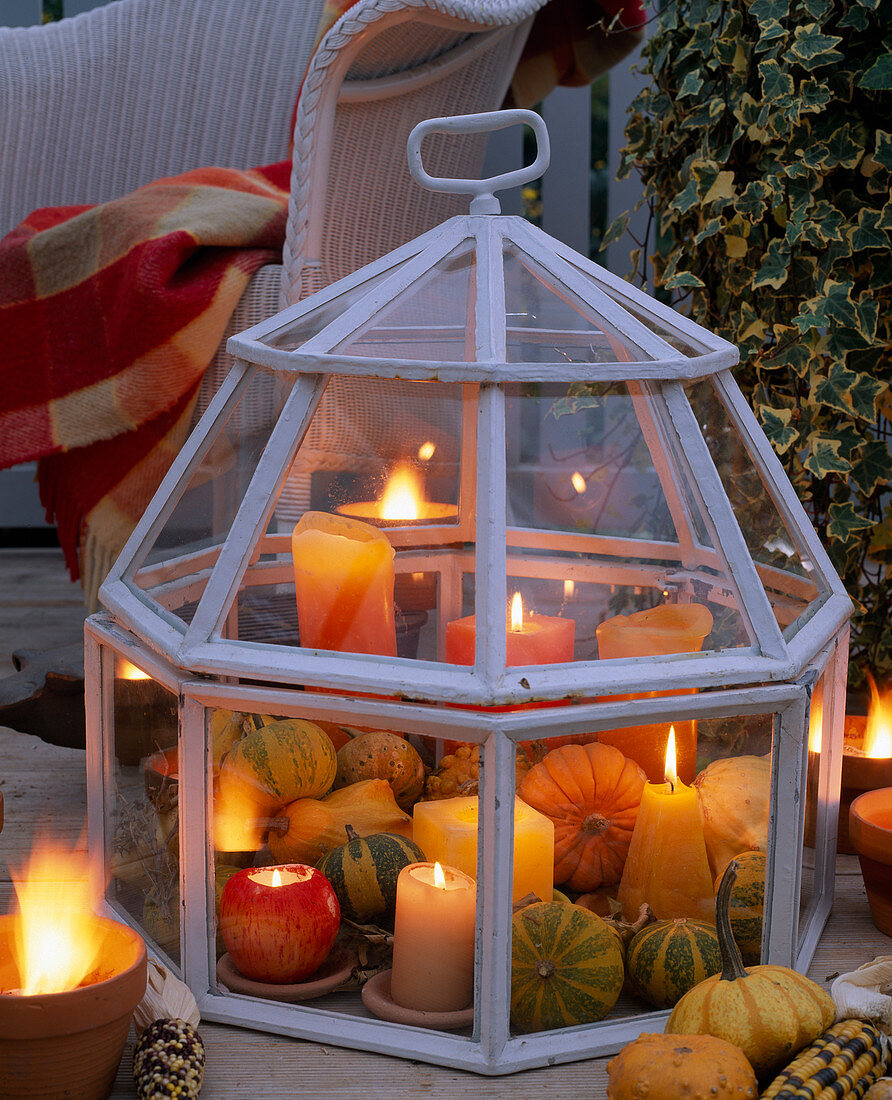 Halloween: Zierkürbisse im Glashaus (Cloches) mit Kerzen