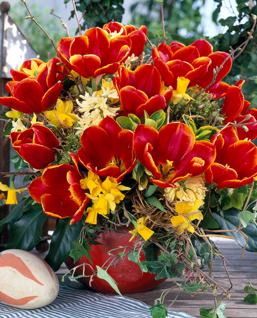 Tulipa 'Abra', Hyacinthus 'Gipsy Princess',