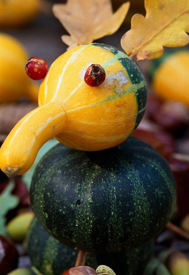 Ornamental gourd and oak leaf bird