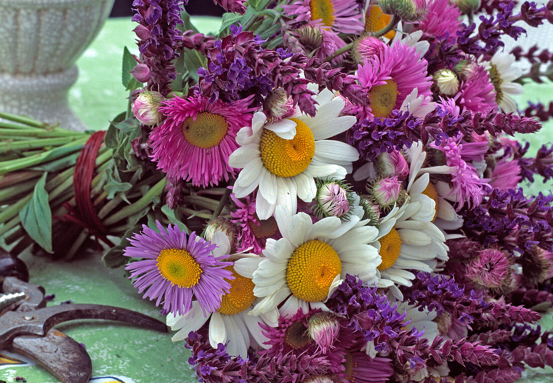 Bouquet with Erigeron (fine blaster), marguerite, ornamental sage