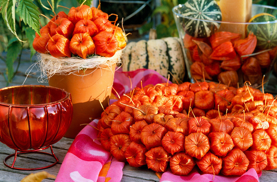 Lantern fruits (Physalis) wreath