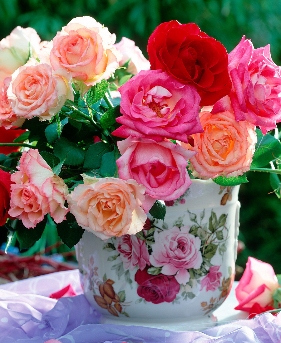 Rosenstrauß mit diversen Blütenfarben
