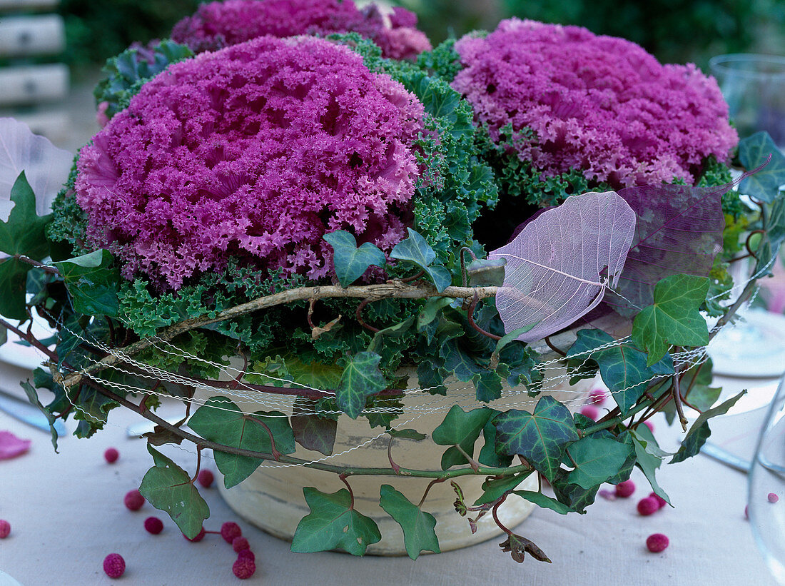 Table top deco bowl with Brassica cabbage, Hedera helix ivy