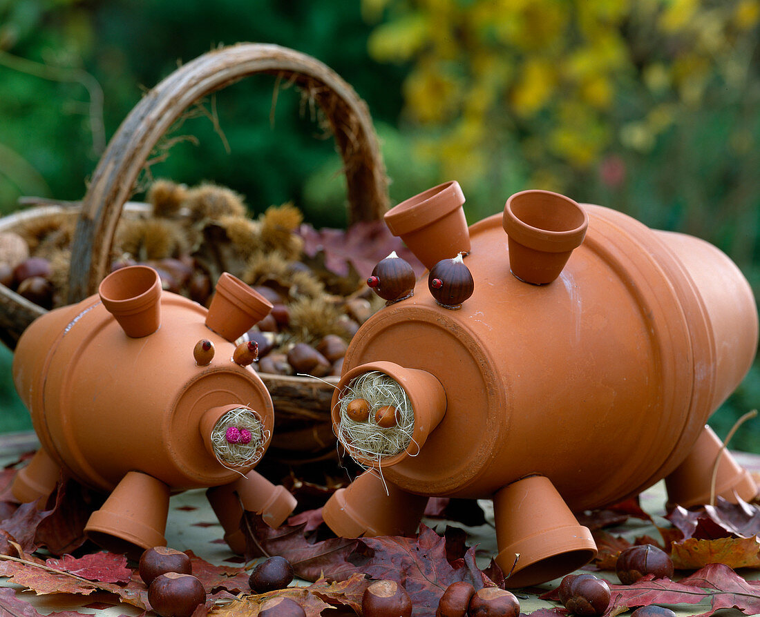 Pigs made of clay pots, chestnuts, acorns and sisal