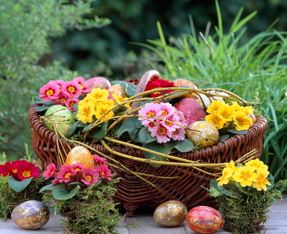 Primula acaulis in basket with marbled eggs, gold leaf