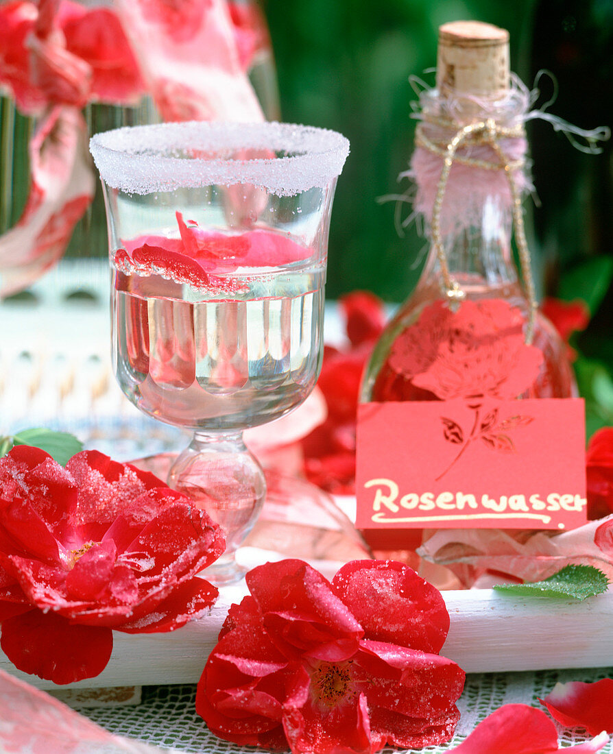 Making rose water, sugared rose petals, glass