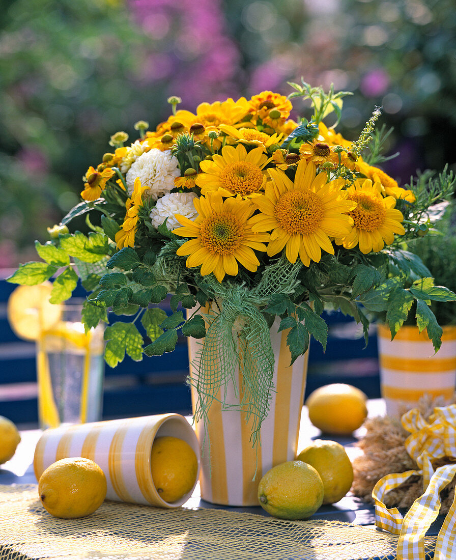 Helianthus decapetalus (Staudensonnenblume)