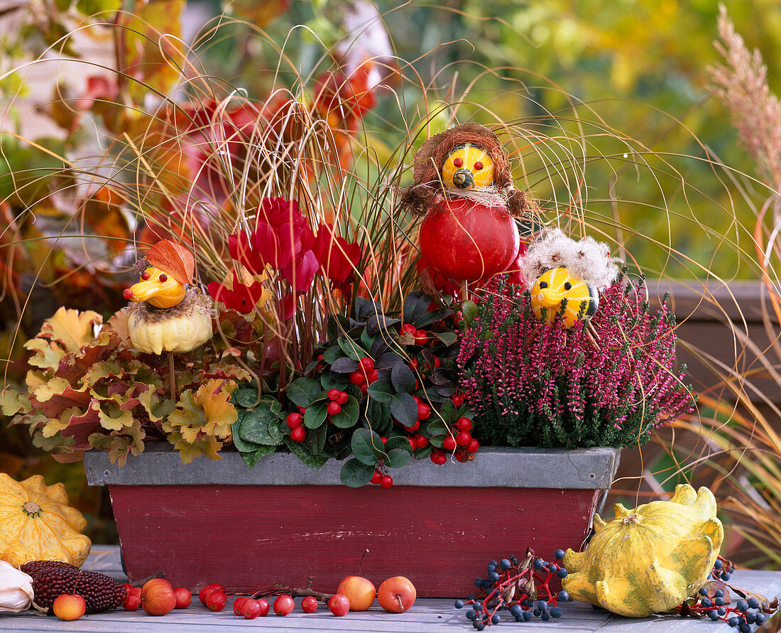Herbstbalkon mit Kürbisfiguren: Cucurbita / Zierkürbis, Heuchera, 'Amber Waves'