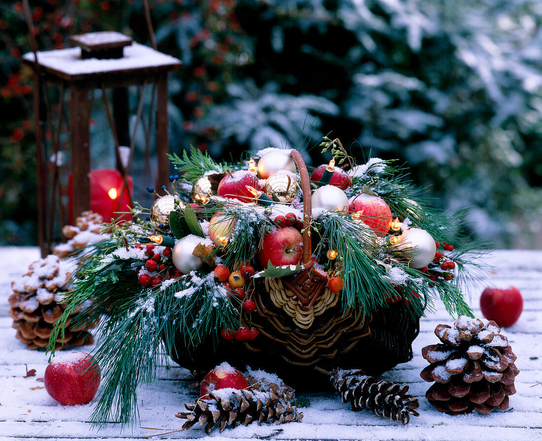 Weihnachtlicher Korb mit Zweigen, Nüssen, Zapfen und Äpfeln