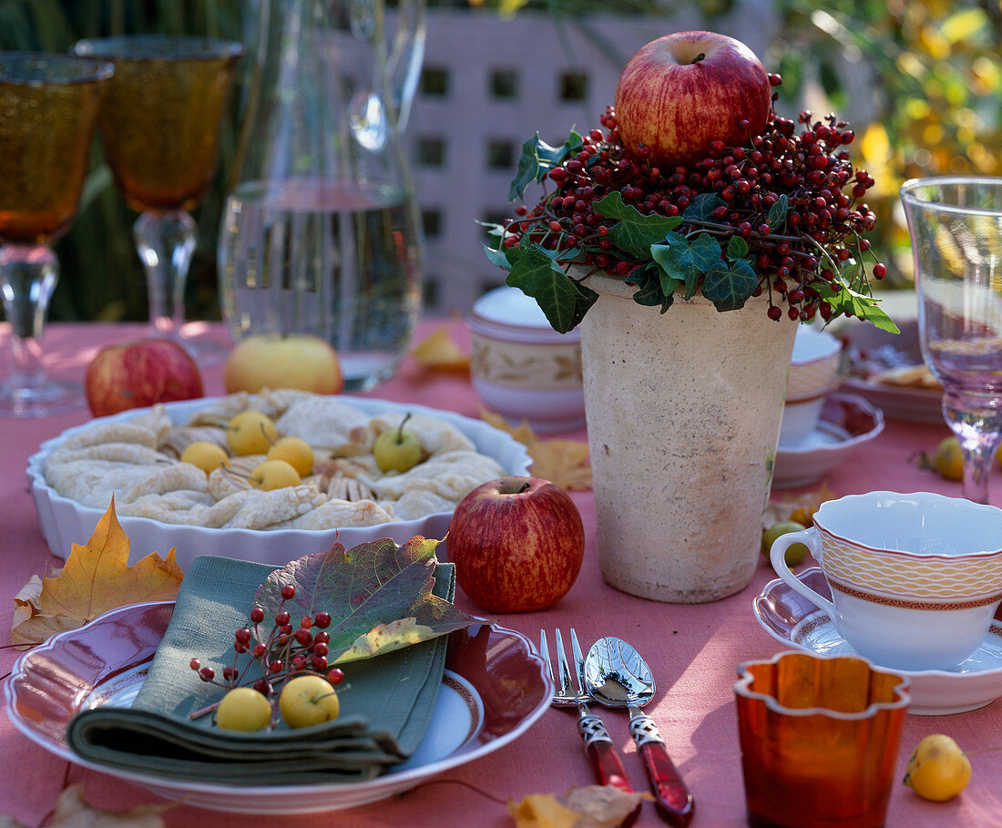 Apple pie, Malus apples and ornamental apples, rose rosehips, Hedera ivy, Vitis