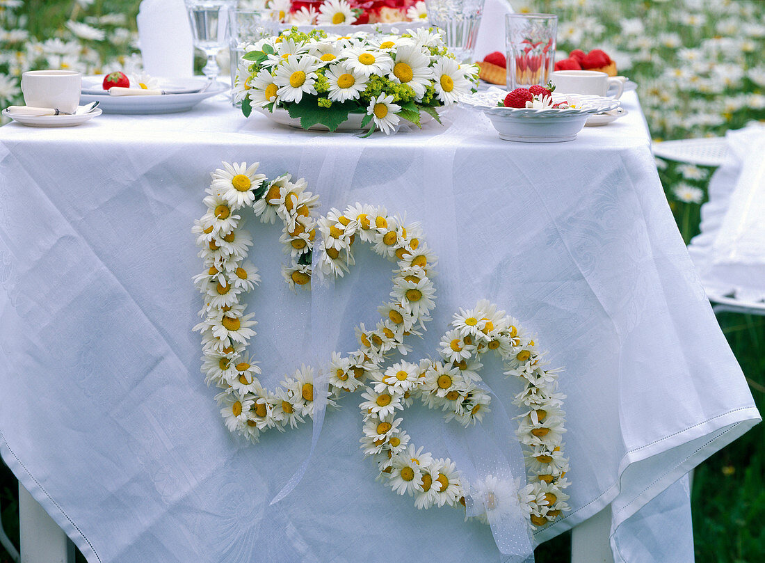 Leucanthemum / Margeritenherzen mit weißem Band am Tischtuch befestigt