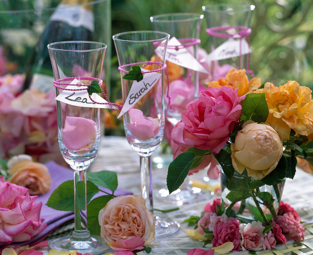 Rosa / Rosen als Strauß