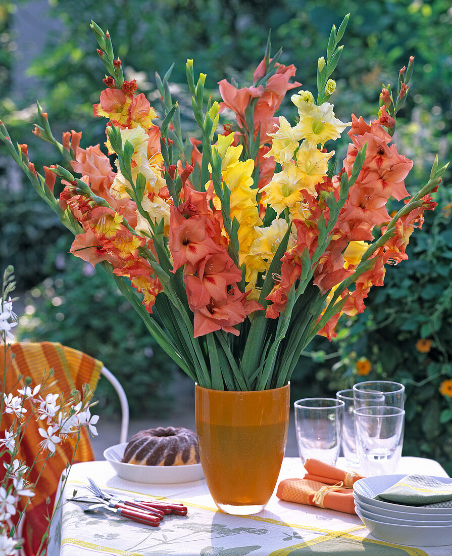 Gladiolus (gladiolus), bouquet in yellow and orange