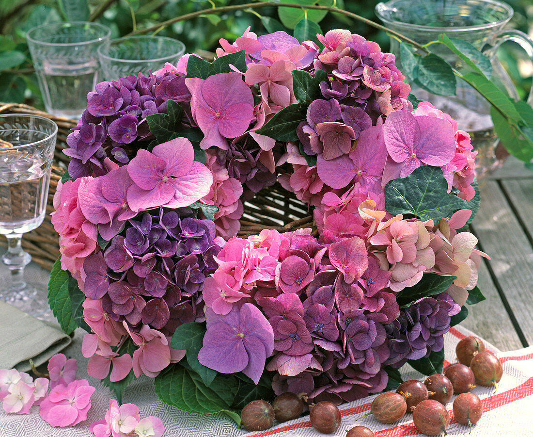 Hydrangea / Hortensienkranz rosa-lila