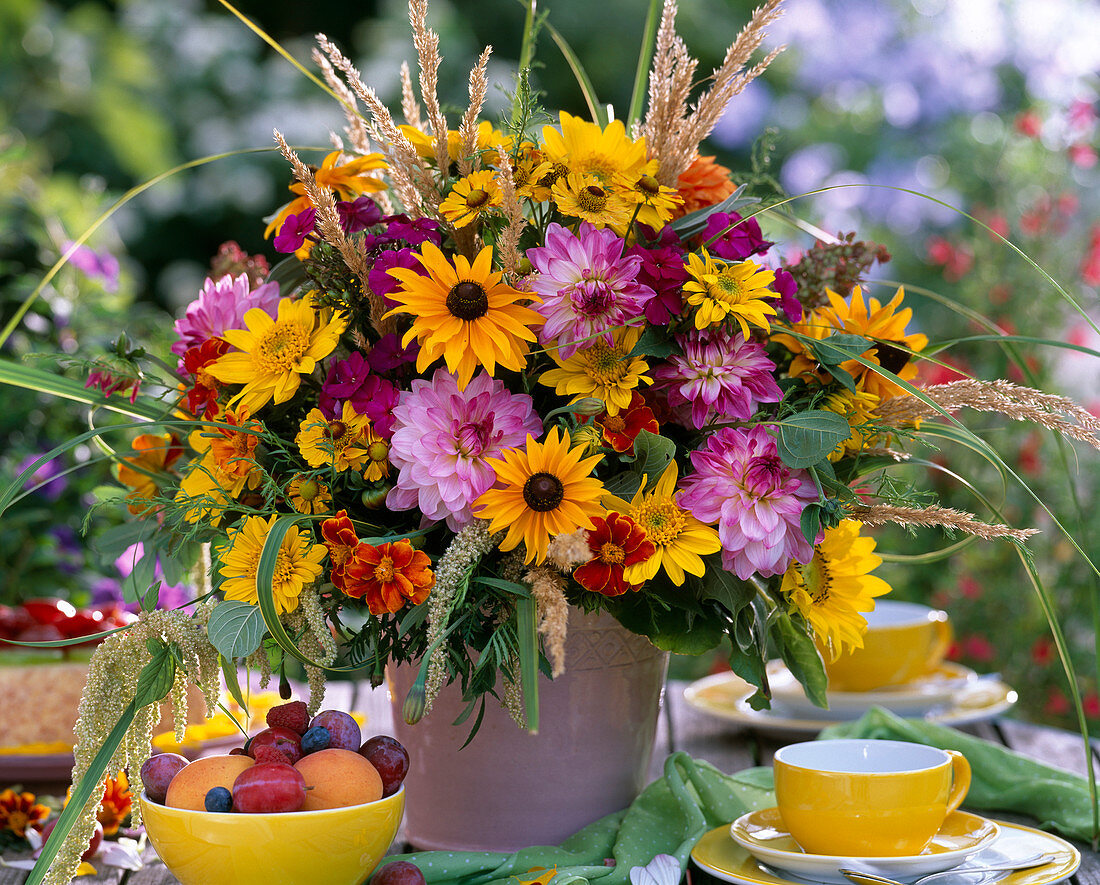 Dahlia, Rudbeckia (sun hat)