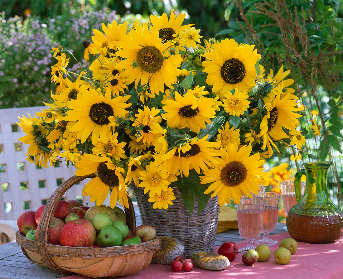 Helianthus / Sonnenblumen, Rudbeckia / Sonnenhut, Malus / Äpfel, Pyrus / Birnen