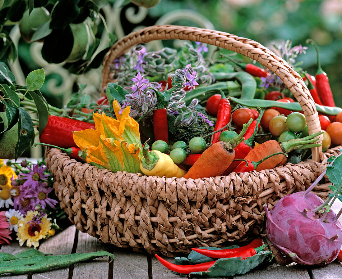 Wicker basket with daucus (carrots)