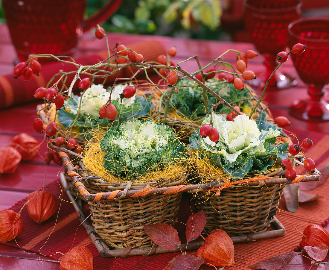 Brassica (ornamental cabbage), rose (rosehip), sisal, baskets as 4-square, physalis