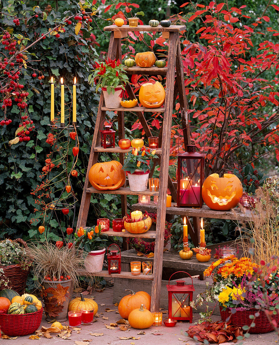 Wooden ladder with pumpkins, Halloween
