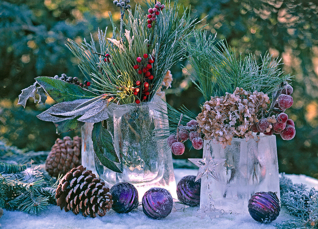Eisblöcke als Vasen, Pinus / Kiefer und Zapfen