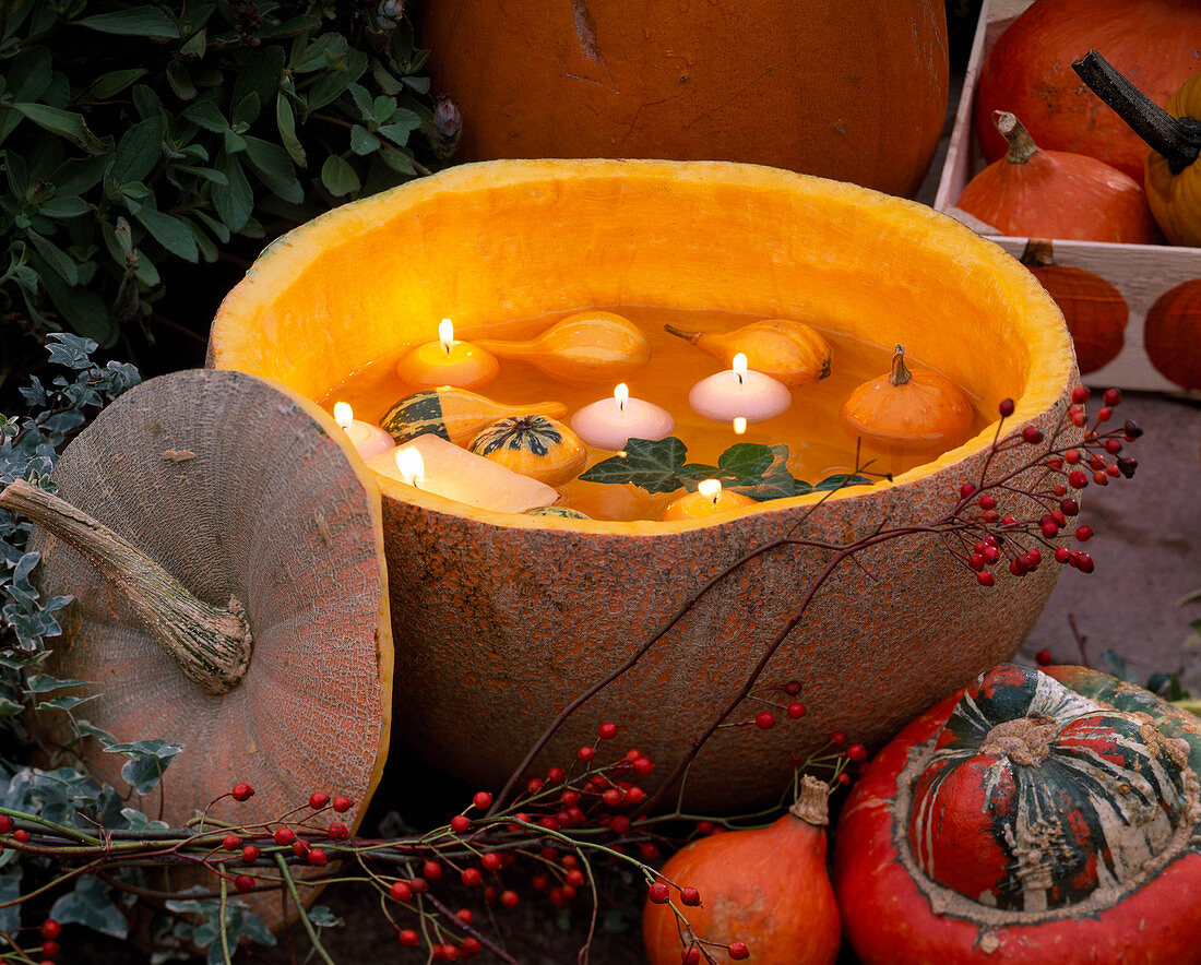 Cucurbita eroded, candles and small pumpkins swimming, pink