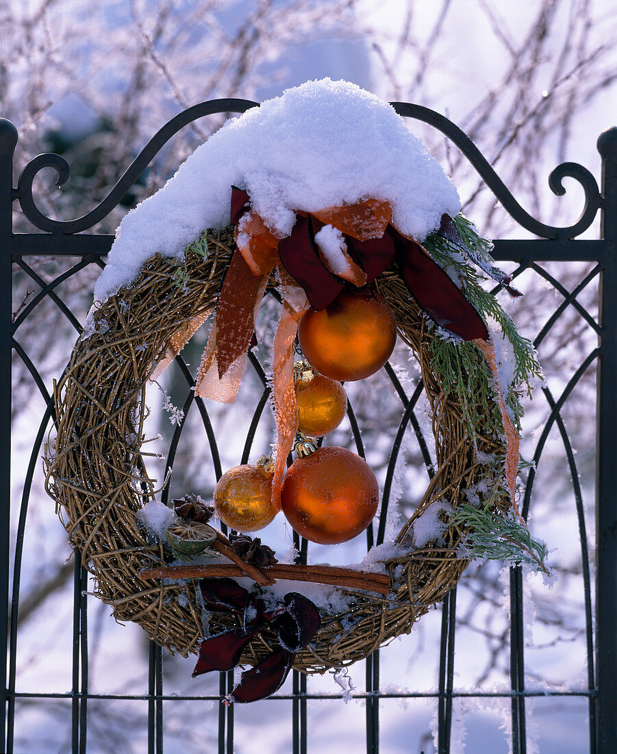 Vitis wreath