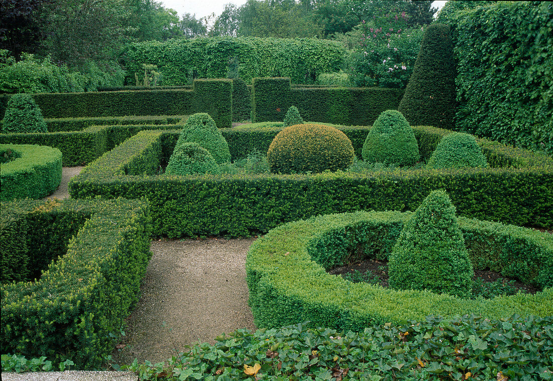Formal garden with Buxus, Taxus, Fagus, Hedera helix