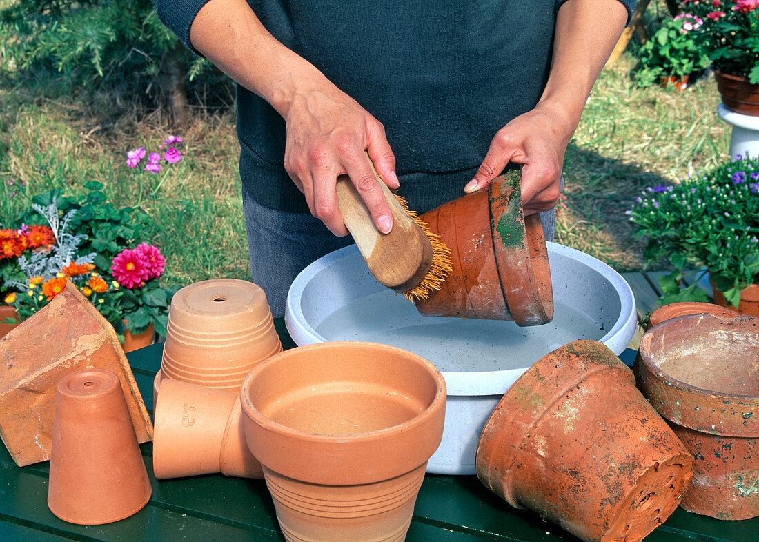 Pots in autumn clean for wintering