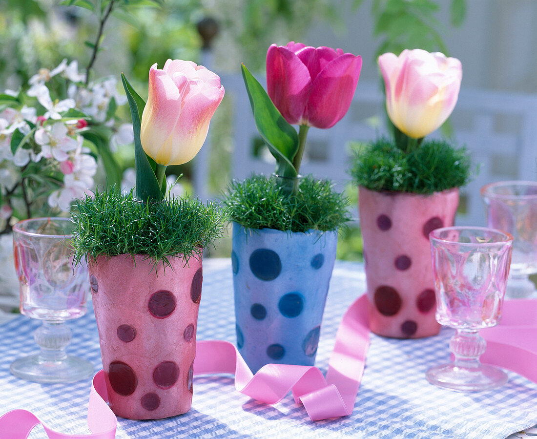 Dotted vases with Sagina (star moss)