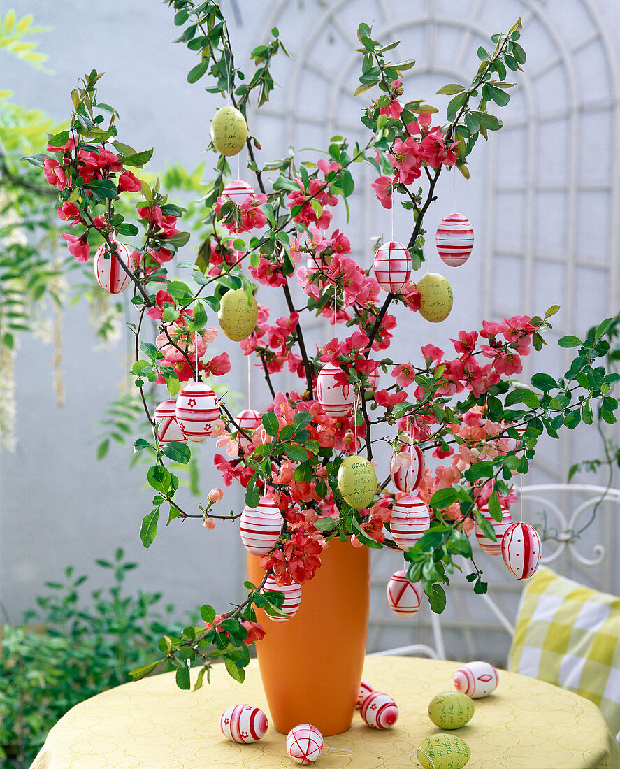 Easter bouquet of Chaenomeles twigs (ornamental quince)