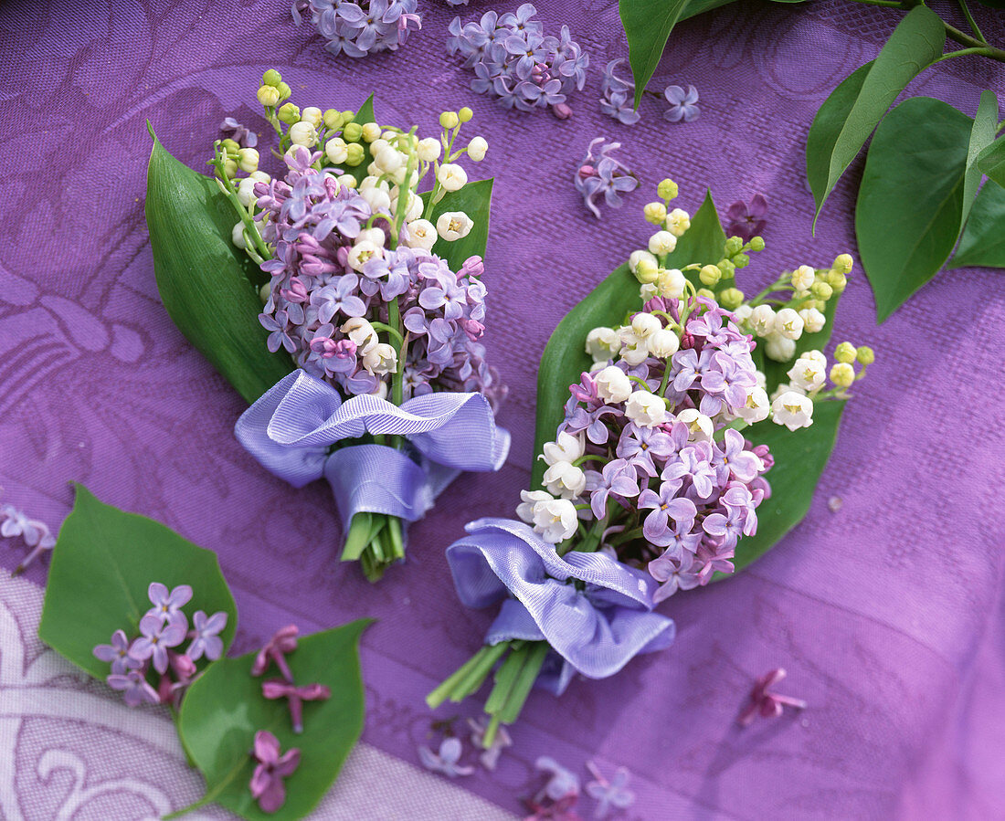 Scented bouquet, Syringa (lilac)
