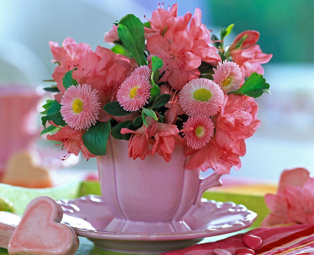 Rhododendron and Bellis stuck in pink cup