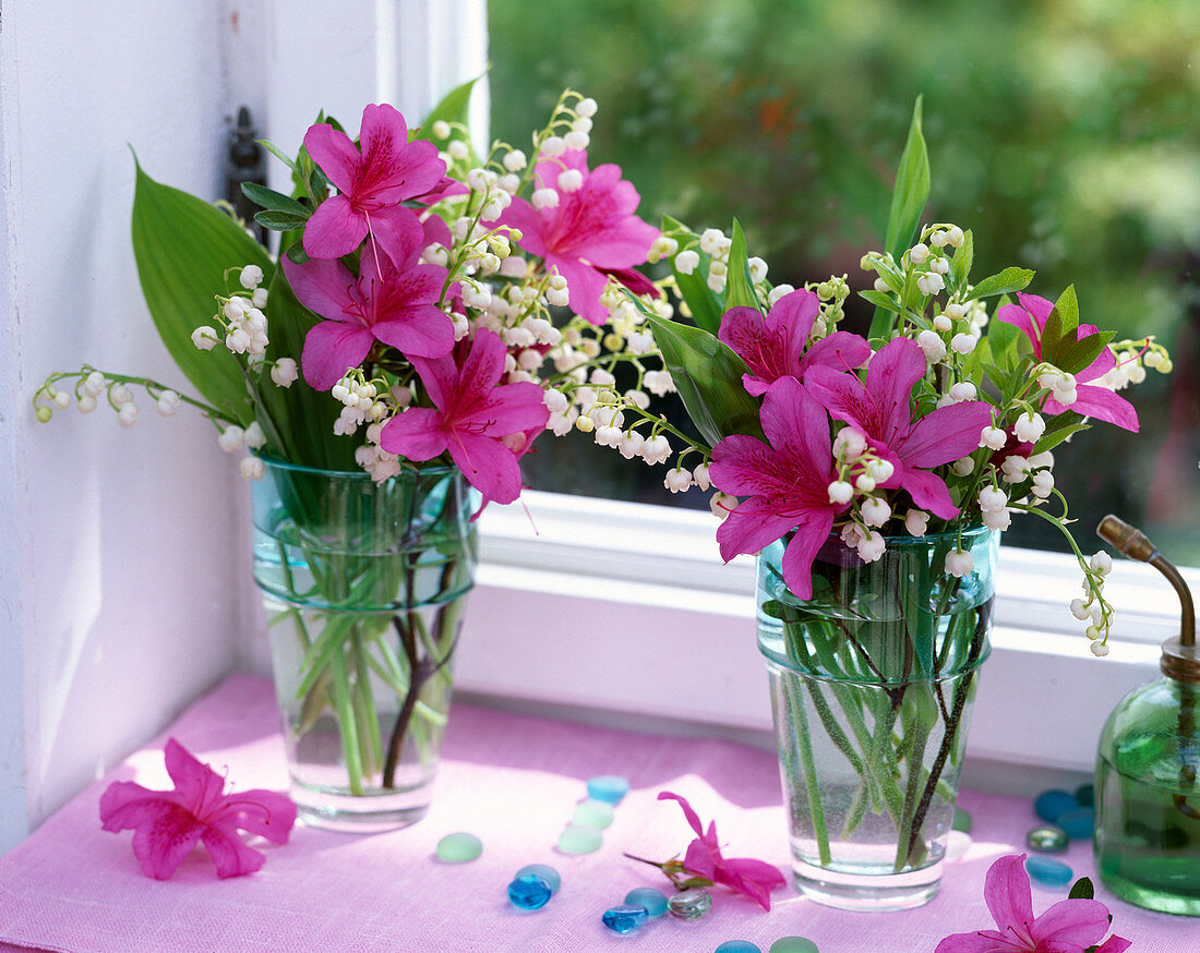 Rhododendron (Azaleenblüten)