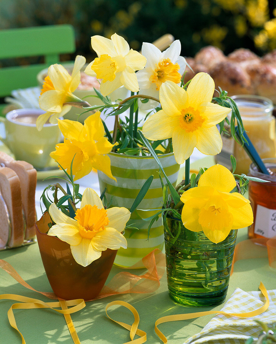 Jars with narcissus (narcissus)