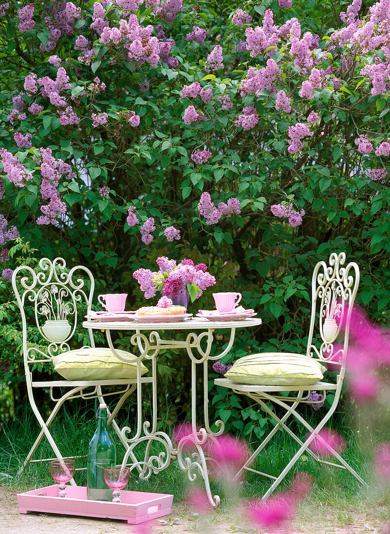 Coffee table at Syringa (lilac bush)