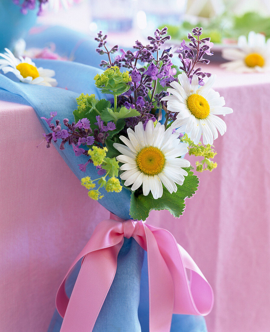 Leucanthemum (marguerite)