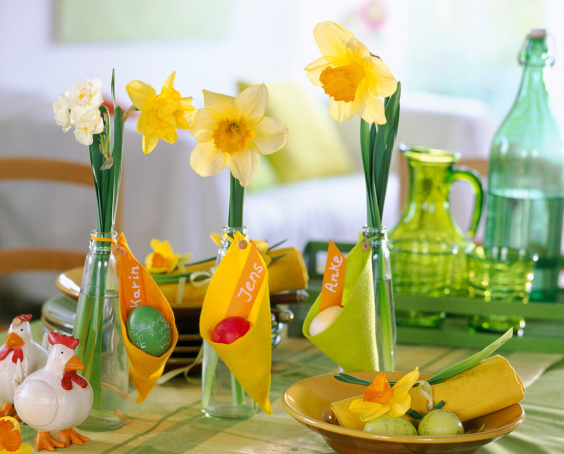 Narcissus (Narcissus) in small bottles