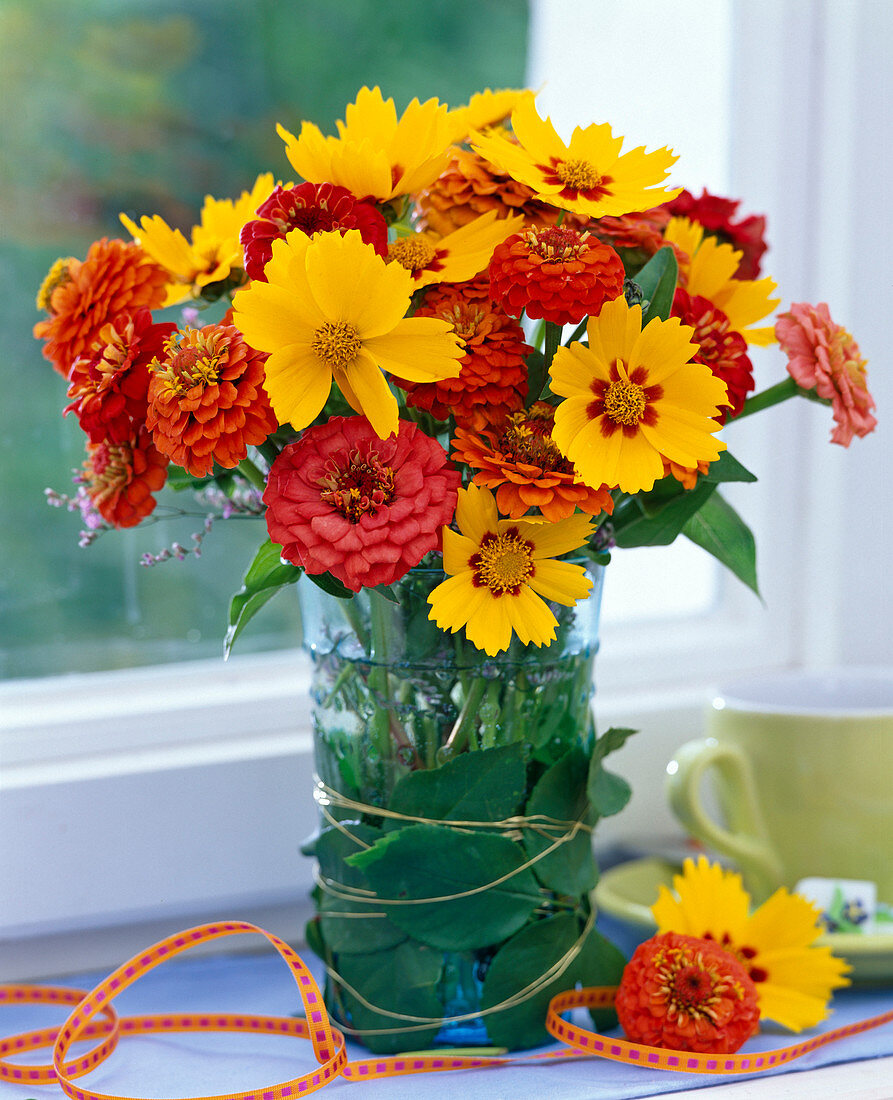 Coreopsis (Mädchenauge), Zinnia (Zinnie)