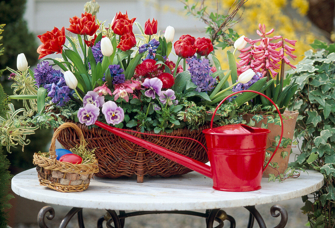 Tulips, hyacinths, daisies, miniature sergeant