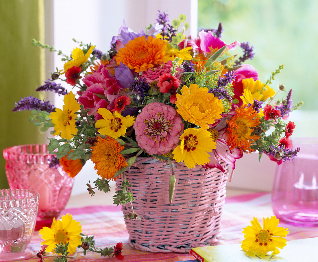 Calendula (Ringelblumen), Zinnia (Zinnien)