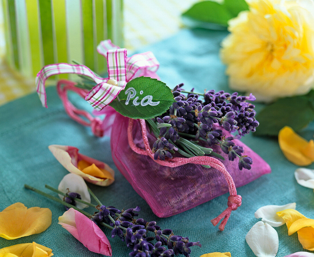 Lavandula (lavender), flowers in little organza bags