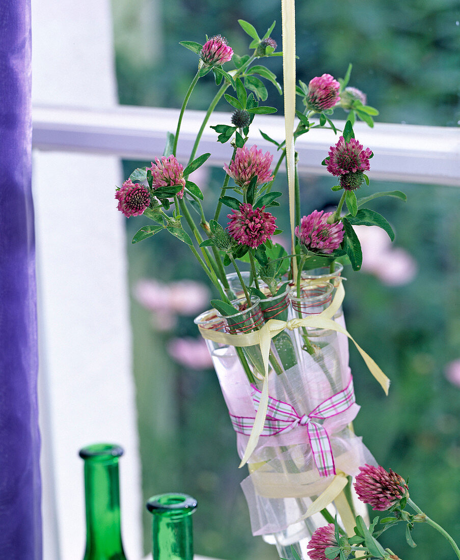 Hanging test tubes