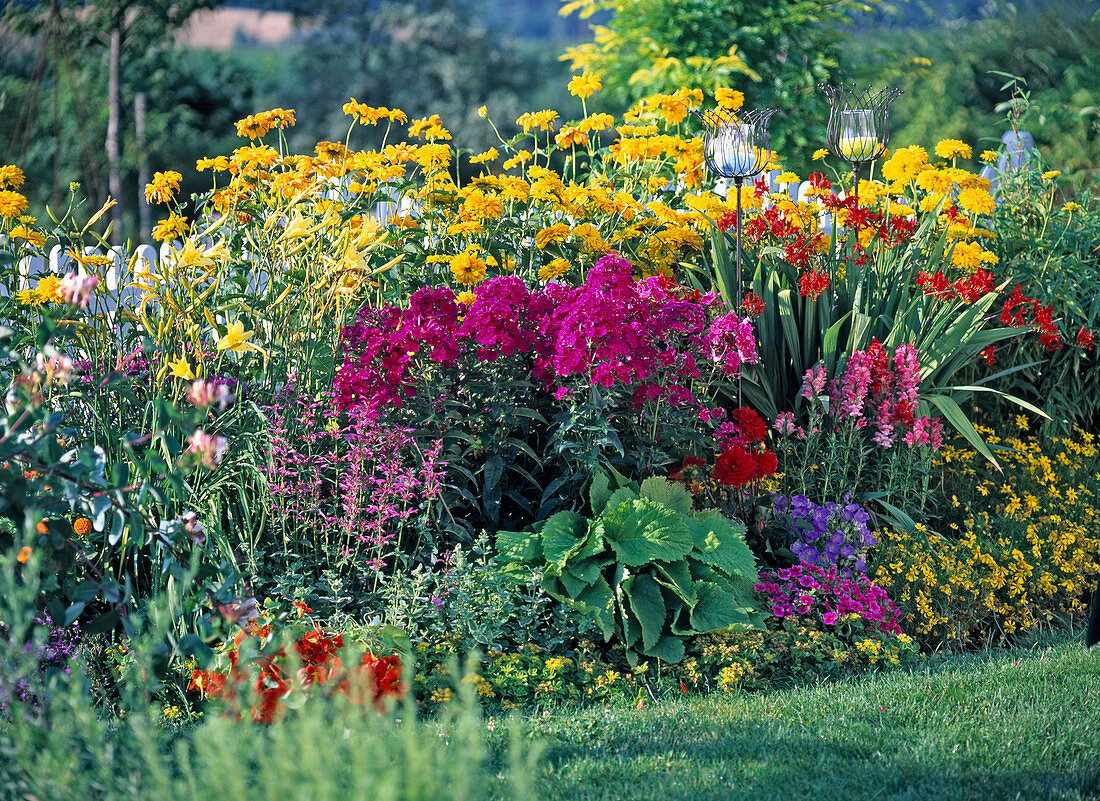 Spice up a yellow bed with colorful perennials