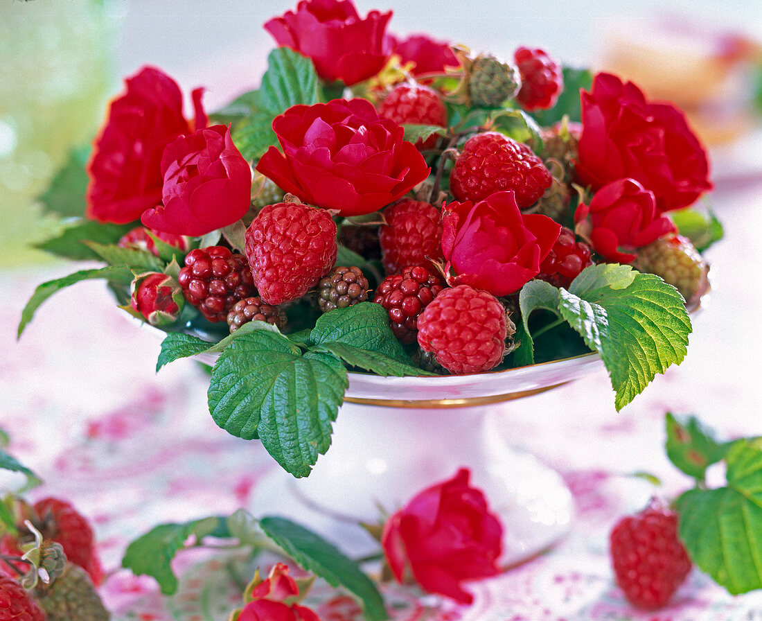 Pink (rose), Rubus (raspberry), grapes, unripe blackberries