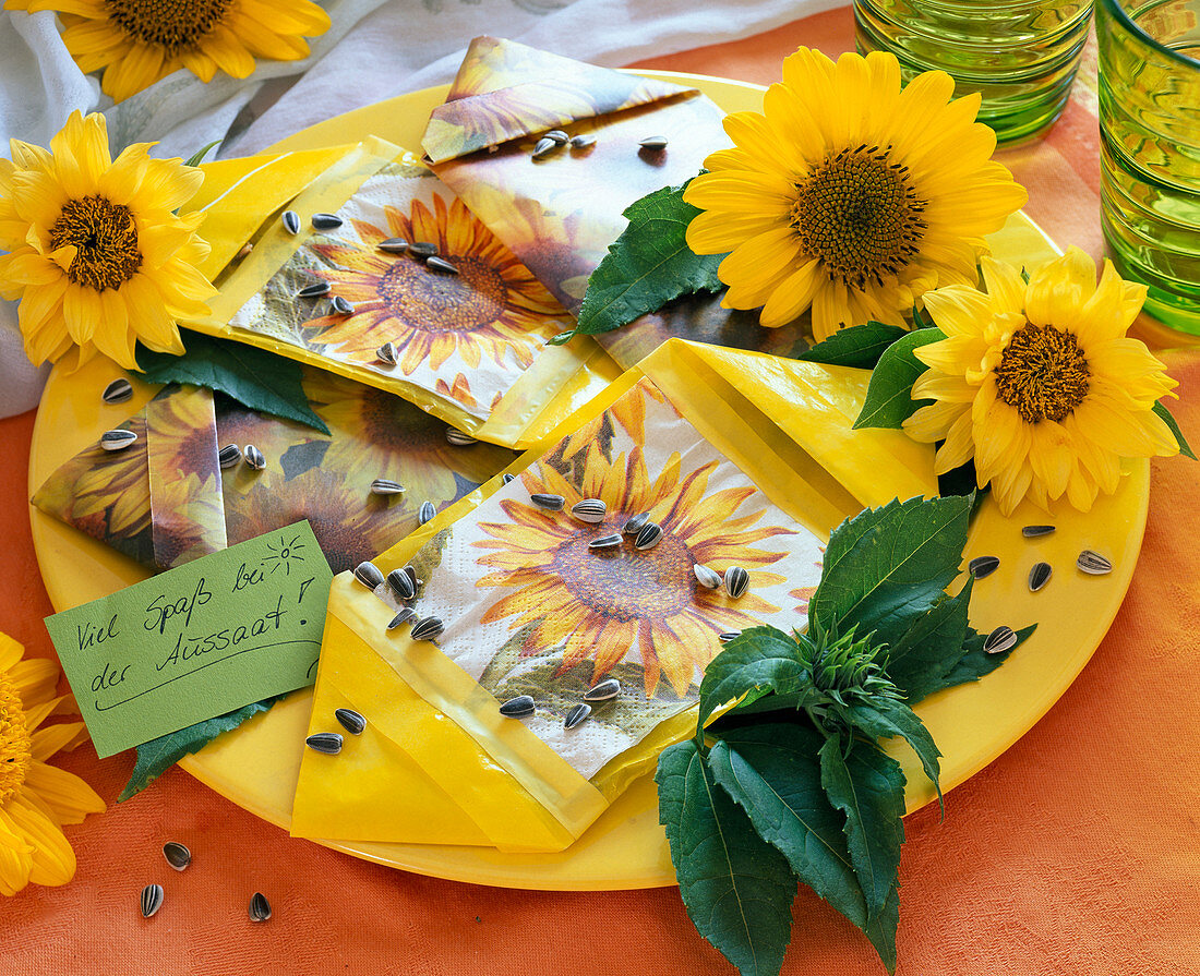 Sunflower seeds in homemade bags