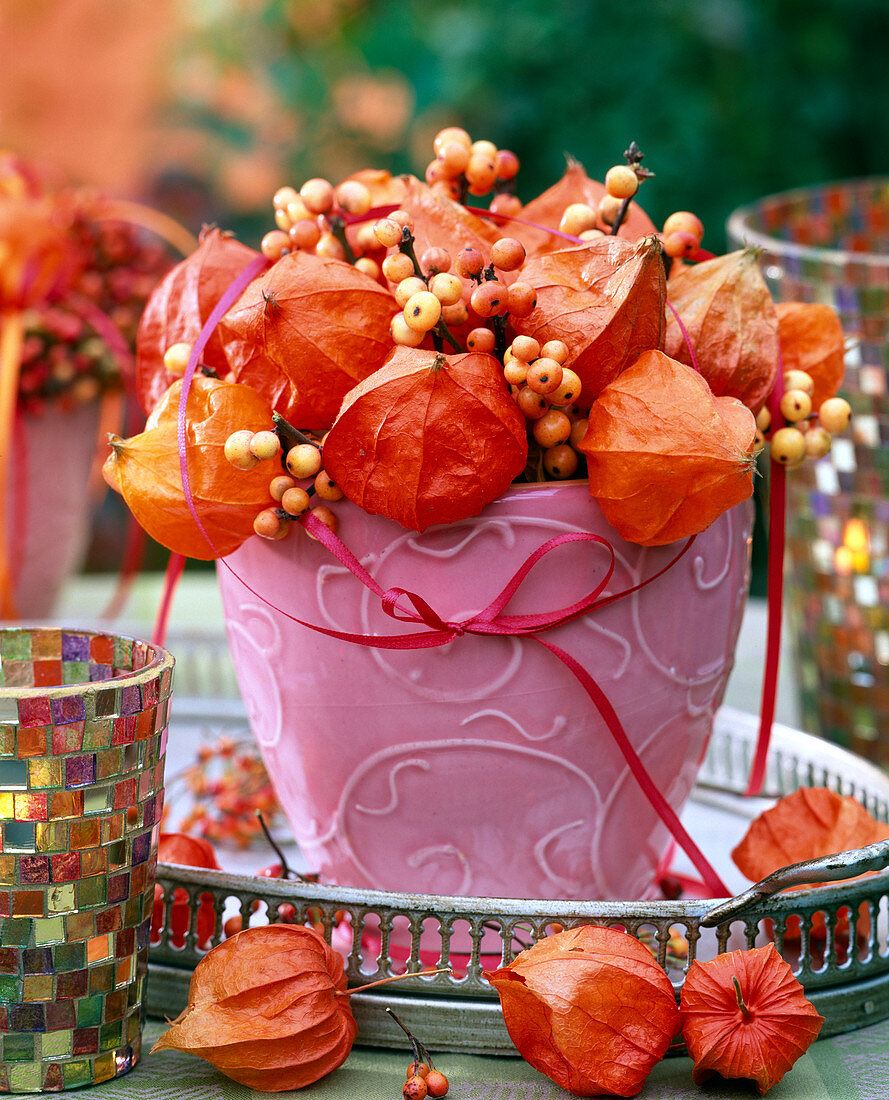 Pink planter filled with Physalis, Hippophae