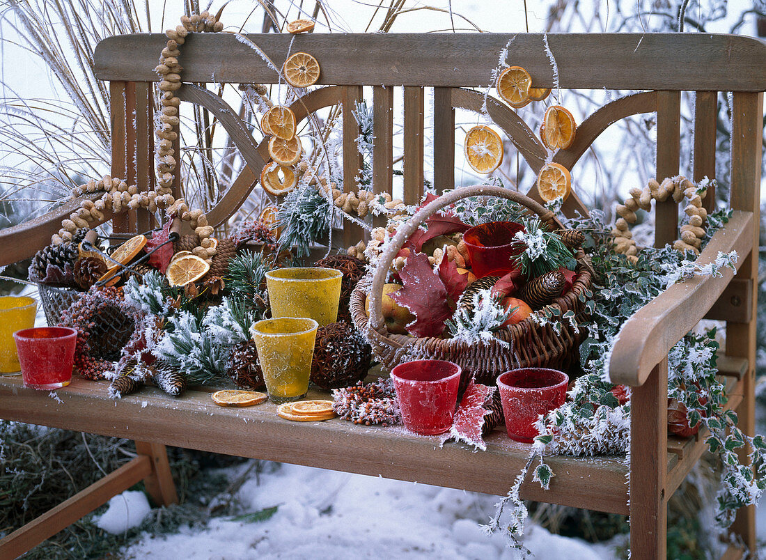 Winterliches Arrangement mit Rauhreif auf Holzbank