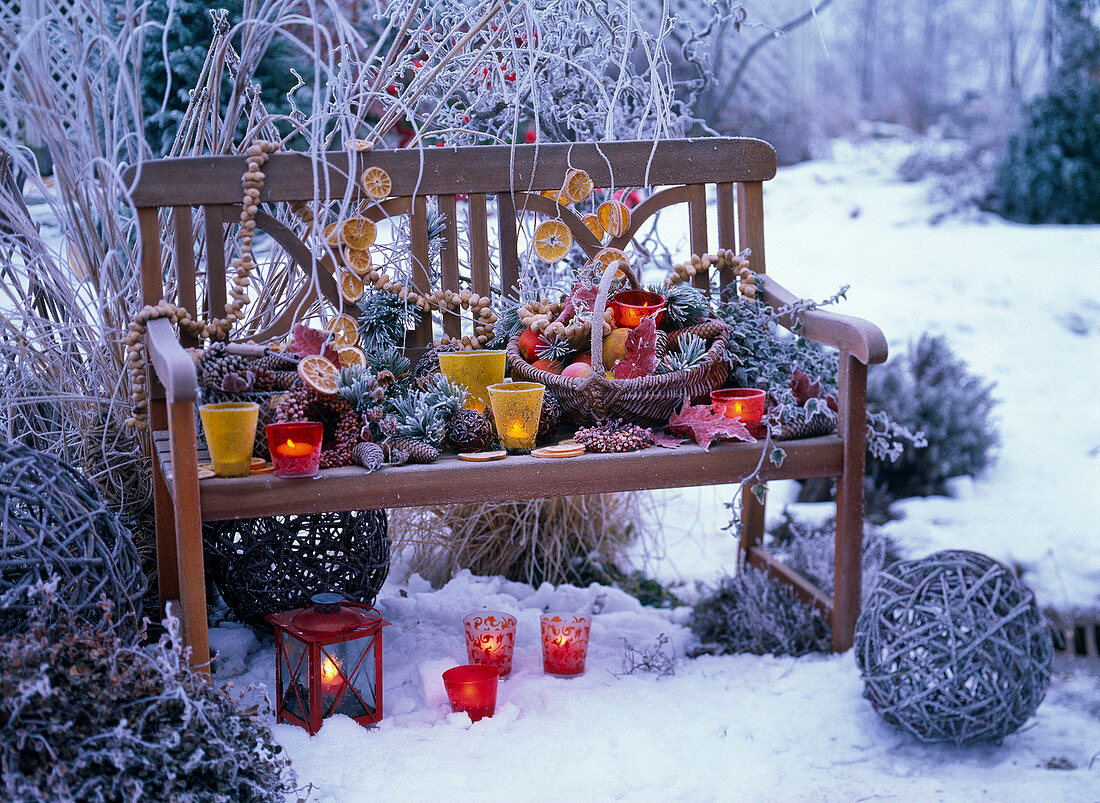 Winterliches Arrangement mit Rauhreif auf Holzbank mit Lichter;