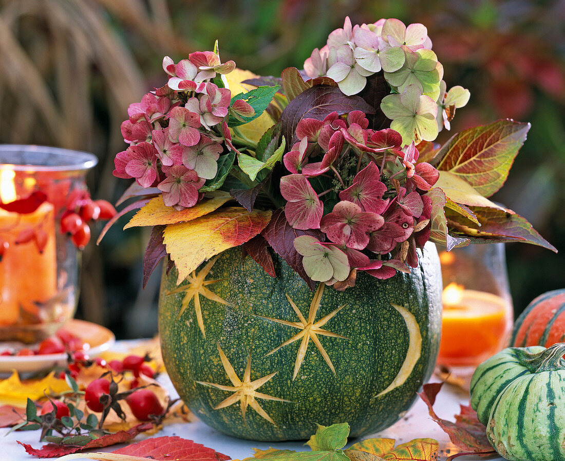 Cucurbita (Kürbis), ausgehöhlt als Vase mit Strauß